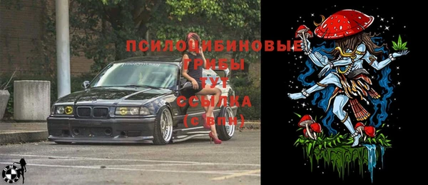 СК Алзамай