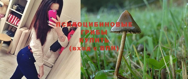 СК Алзамай
