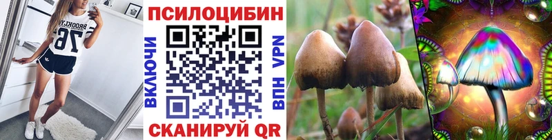 Галлюциногенные грибы ЛСД  где можно купить наркотик  Воткинск 